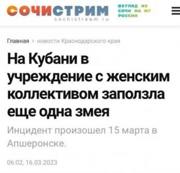 Немного картинок для настроения - 155