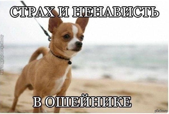 Всего понемногу. От 21.04.