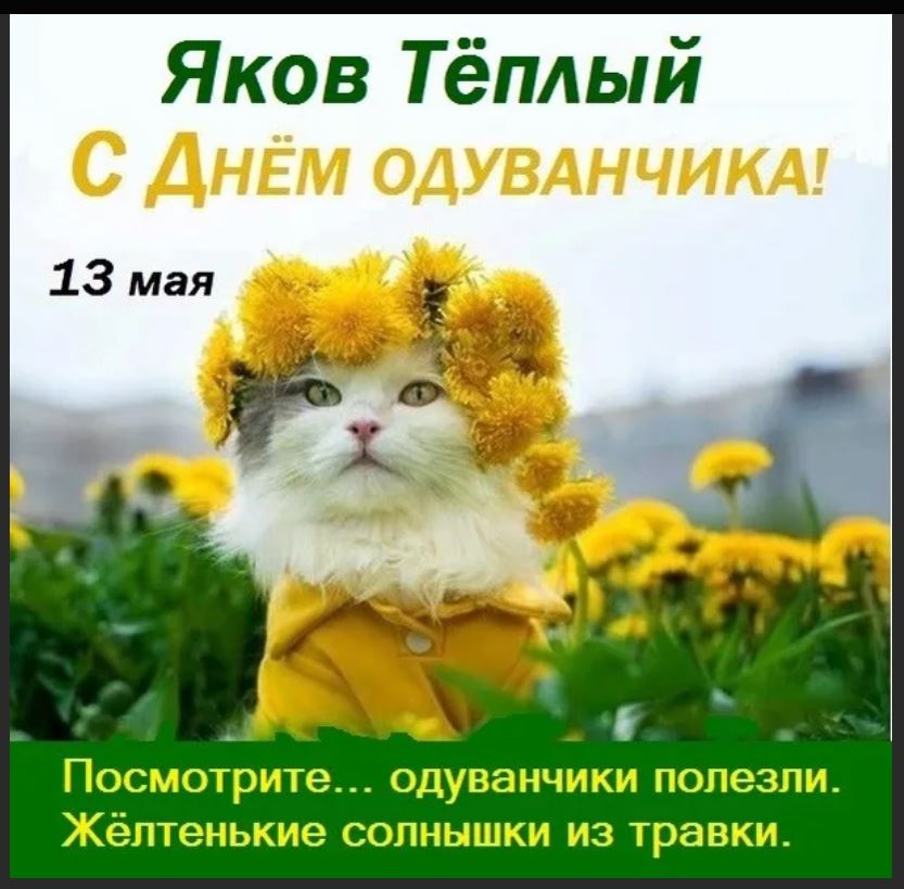 сияйте самостоятельно. хорошего дня мышка. в отсутствии солнца. сияйте самостоятельно. сияйте самостоятельно.