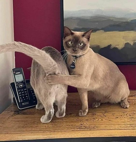 На фото показали татуировки, за которые может быть стыдно