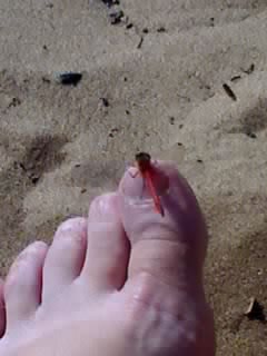 Почистил телефон