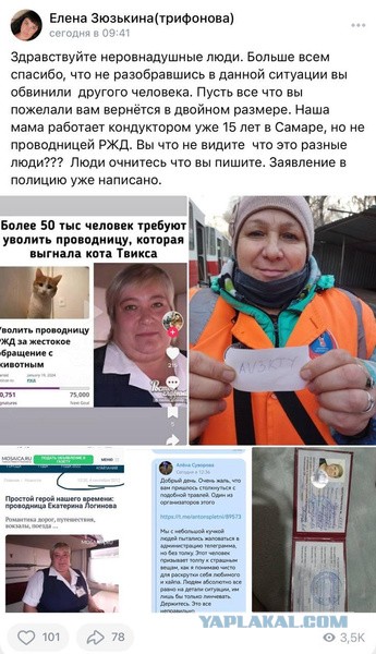 Проводник, высадившая кота Твикса, временно отстранена от работы