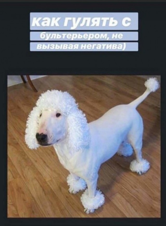 Ахтунг! Баянинг!