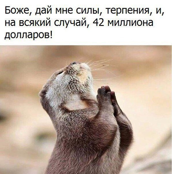 Новый день. Новое похмелье. Новые бояны