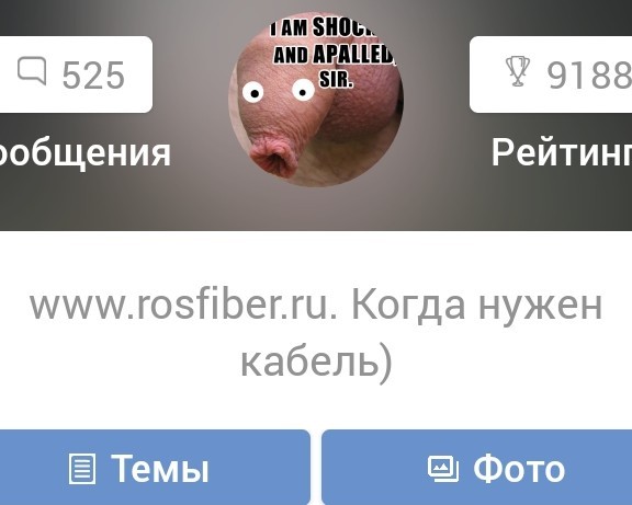 Лампы OSRAM нннада?