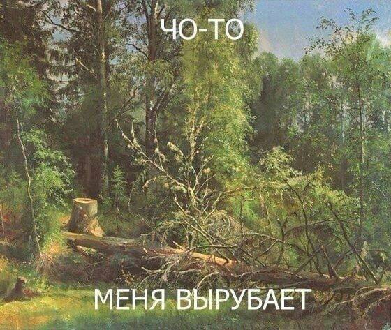 «Дровосек» нарубил на 54 мульта