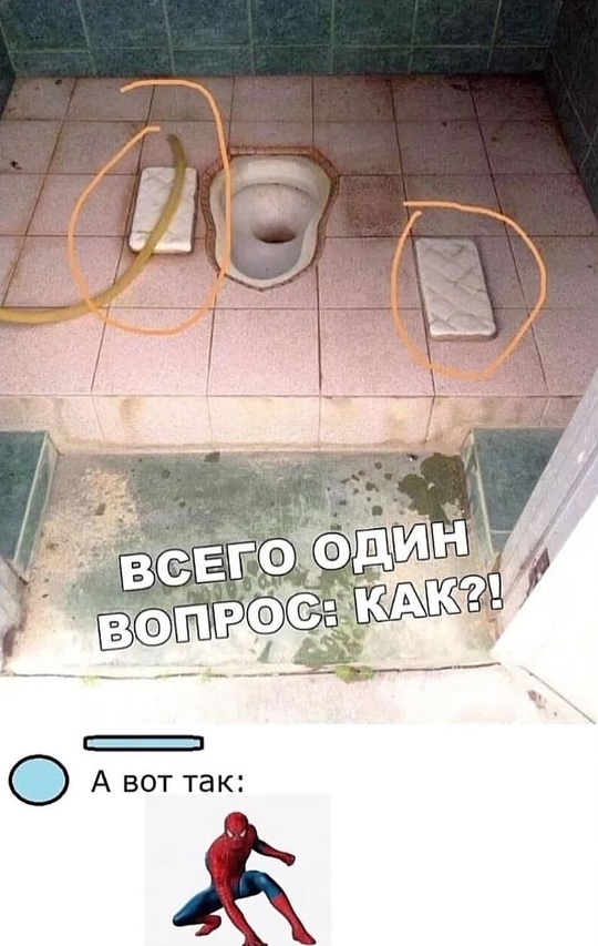 Веселые картинки к пятнице (12.07)
