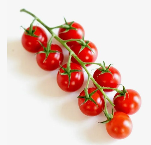 Шмели для опыления