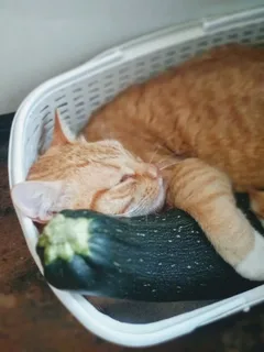 Мерзкие люди