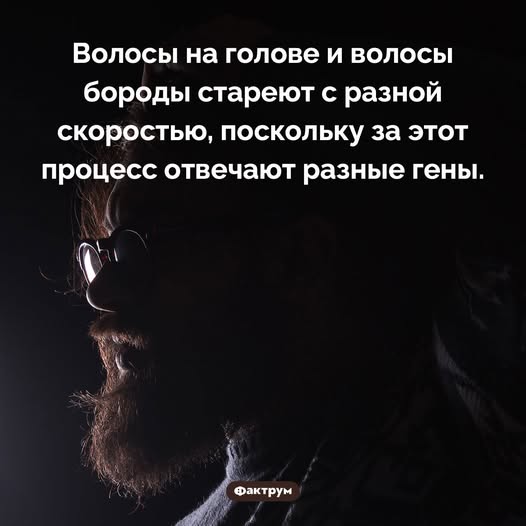 Картинки для деградации 72 (разной степени свежести)