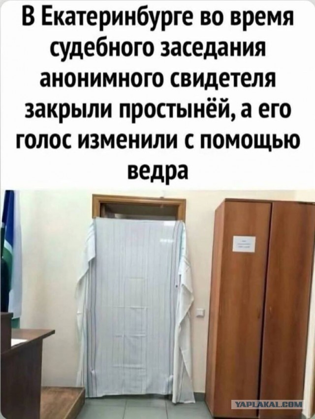 Так себе картинки 29.12.25