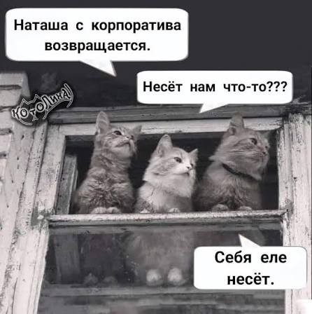 Найди себе уже мужика, Наташа!
