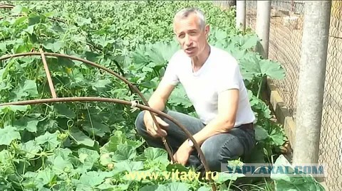 Небольшая разница