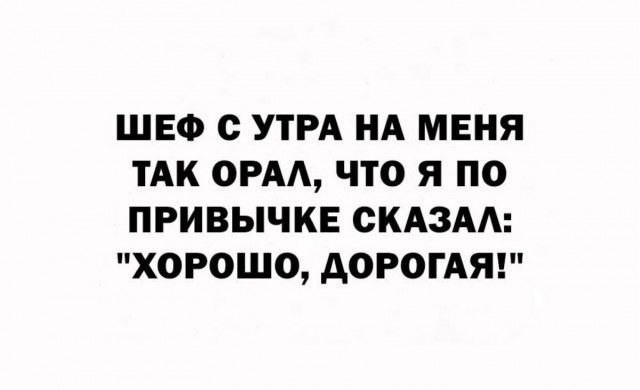 Картинки для деградации 240 (разной степени свежести)