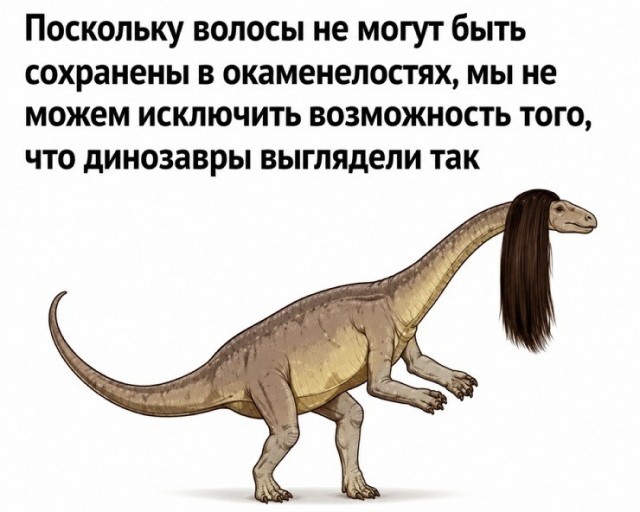Картинки для деградации 247 (разной степени свежести)