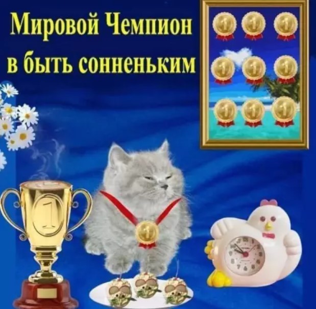 Картиночки, баянчики 15 августа