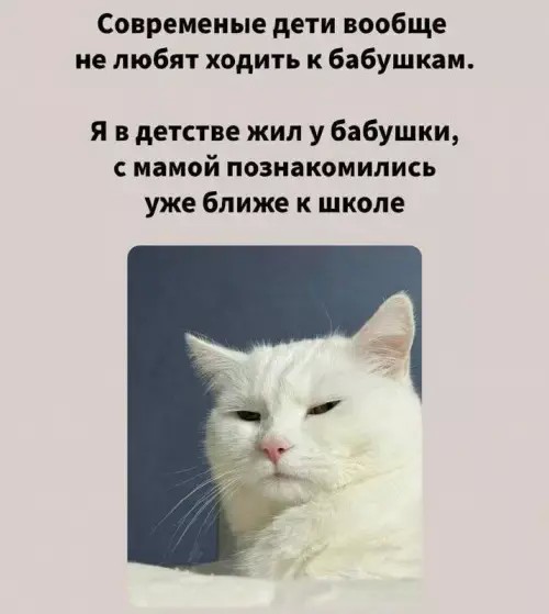 Картинки для деградации 307 (разной степени свежести)