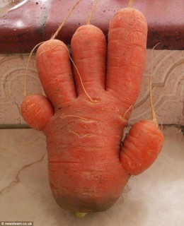 Надоели морковки с письками?