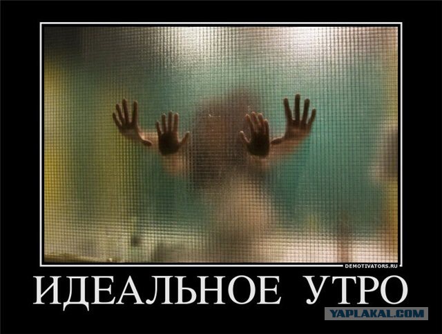 Утренний секс