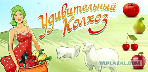 Ангельские глазки