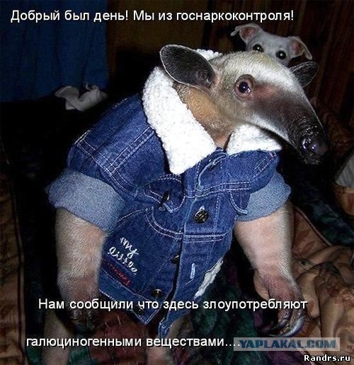 Легкой наркомании пост