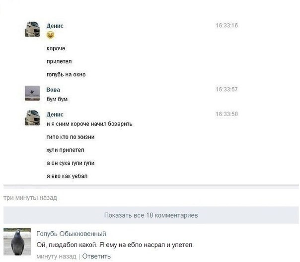 Смешные комментарии из социальных сетей.