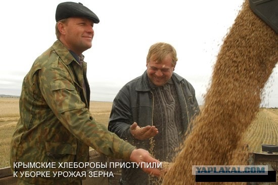 Срочное фото от украинских СМИ