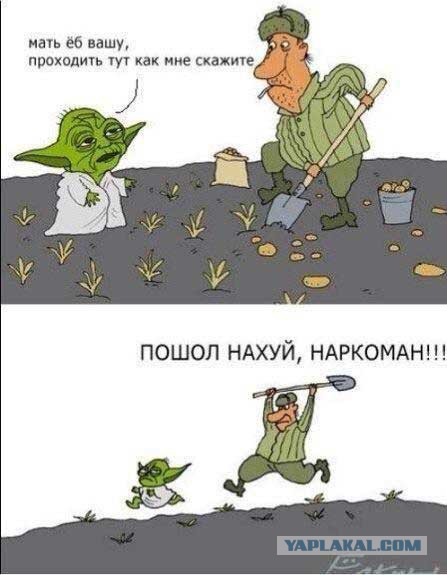 Позитивные картинки и комментарии.