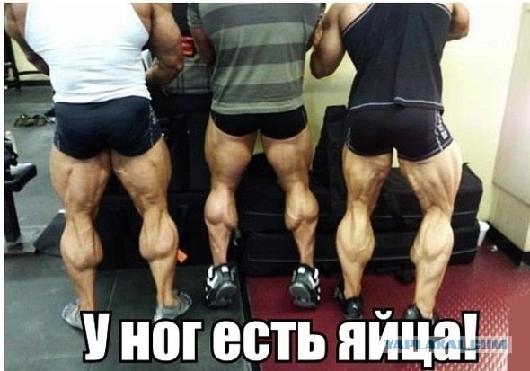 Прикольные картинки