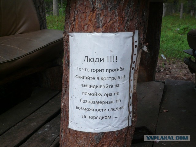Две недели на Иовском водохранилище. Соколозеро.