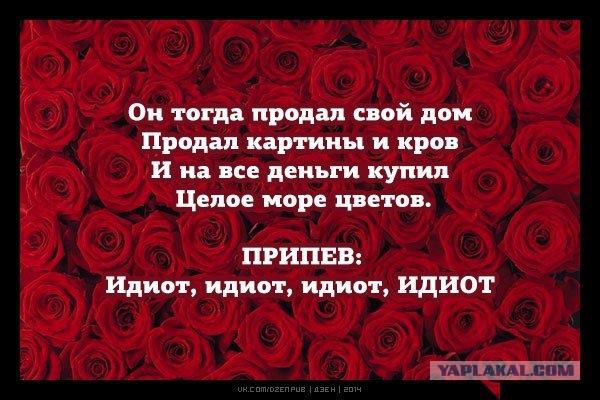 Подборка картинок