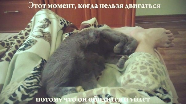 В параллельной вселенной
