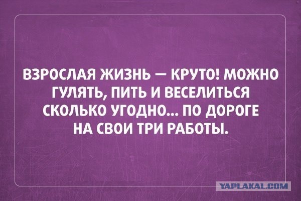 Смешные комментарии из социальных сетей 13.11.14