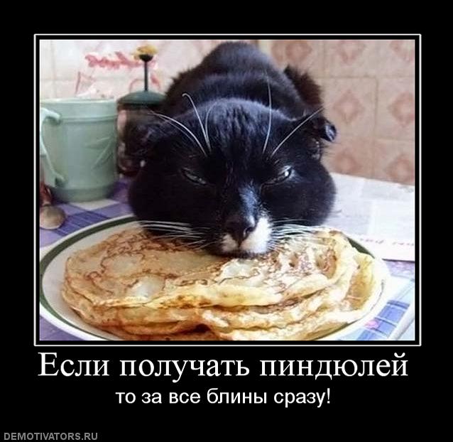 Демотиваторы вторника