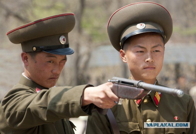 Спасибо тварищу Киму...