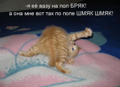 Весёлости в картинках