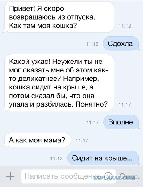 Ужасы и приколы из соцсетей 18+