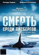 История выживания среди льдов Антарктики