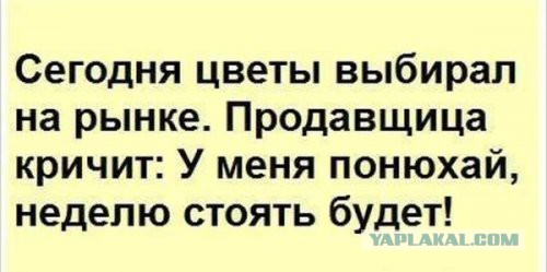Картинки на пятницу