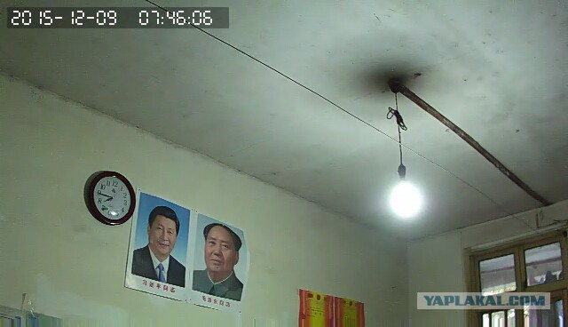 За что я люблю китайцев