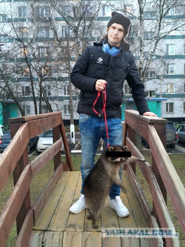 Свежая подборка прикольных картинок