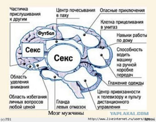 Девушки тестят очки вирт. реальности, 18+