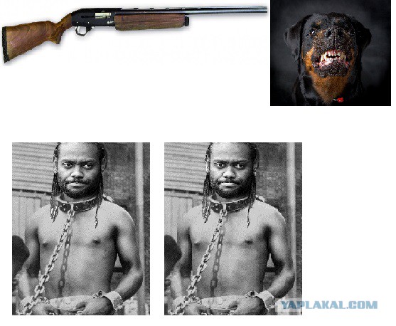 Вы попали на необитаемый остров и у вас есть возможность взять только 4 вещи