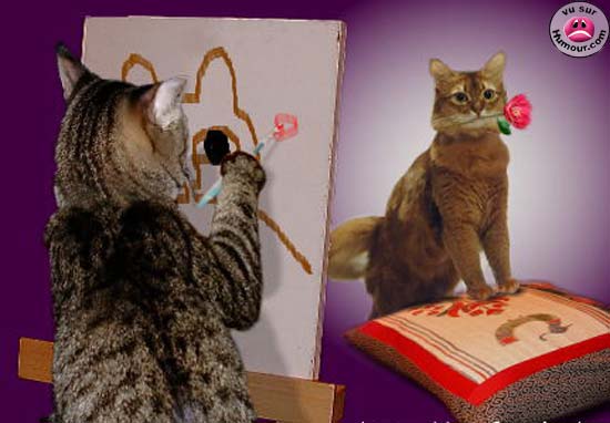 Мой кот, мои правила!