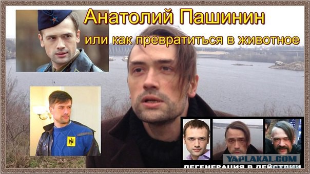 Михаил Ефремов с номером "Депардьё моё"