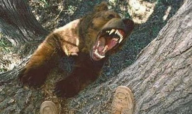 Неприятности случаются