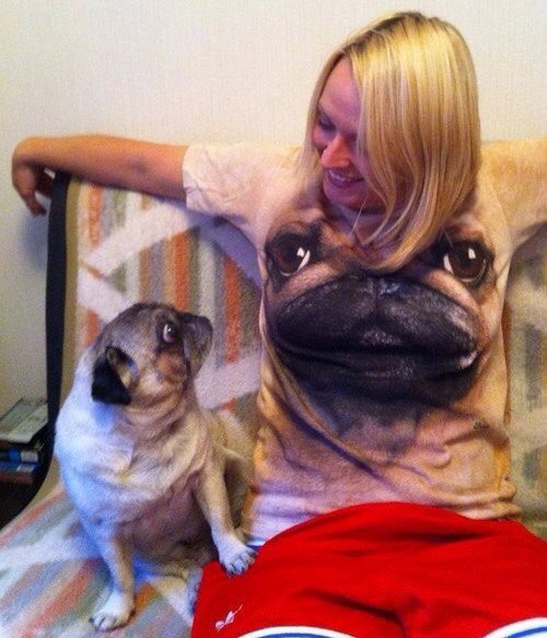 Веселые и интересные картинки