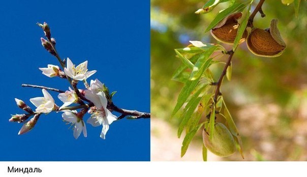 Интересные и веселые картинки