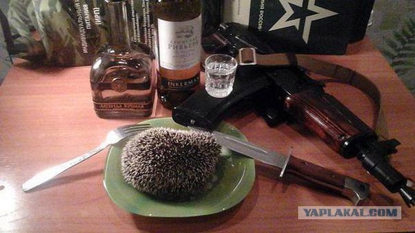 Не свезло так не свезло