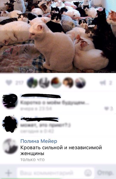 Ужасы и приколы из соцсетей 18+